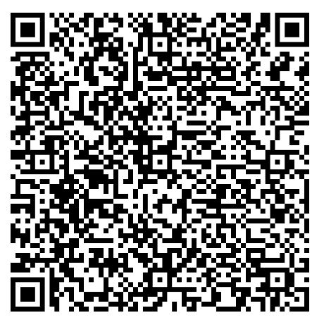 QR Code Pix